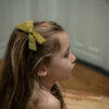 imruby