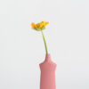 foekje fleur