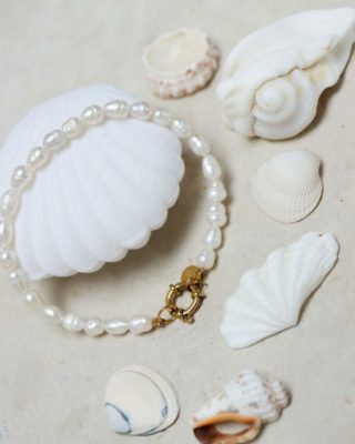 ✨RESTOCK PARTY ✨
.
Bij dat héérlijke lentezonnetje horen natuurlijk nieuwe juweeltjes van Label Kiki! 🐚🐠
We hebben de nieuwe collectie al terug aangevuld, want wat was dat vorige week! 😅
Niet alleen werd alles bijbesteld, we hebben ook enkele nieuwtjes toegevoegd. 🌊🪸
🐚 De hoops worden per stuk verkocht. Je kan dus eindeloos combineren.
🐚 De studs in een setje per 2.
Wil je de nieuwe collectie graag in het echt bewonderen?
Wij zijn open:
✨ maandag en vrijdag : 10 – 12 u
✨ zaterdag : 14 – 16 u
.
#jewelry #mixandmatch #earcandy #jewels #newarrivals #dadizele #shoplocal #multibrandstore